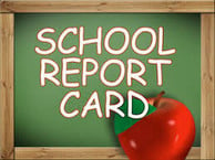 DPI School Report Card Icon